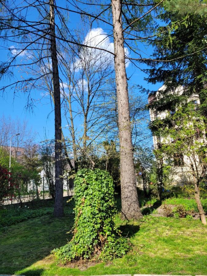 Cichy Apartament W Centrum Новий Сонч Екстер'єр фото